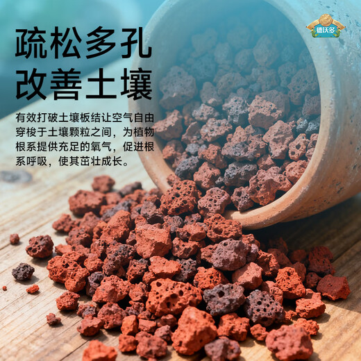 Devodo red volcanic rock 5kg (1-2cm) succulent granular soil paving stone mixed with soil to improve soil gardening soilless cultivation