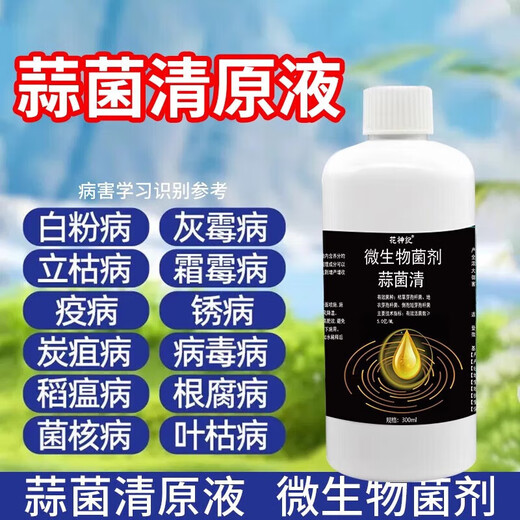 Чесночные бактерии, прозрачный оригинальный раствор, специальный медицинский препарат для чеснока, микробный инокулянт, оригинальный раствор, настоящий сухой лист, желтый лист, сухой кончик, устойчивый к болезням фунгицид, одна бутылка, чеснок никогда не будет свободен от болезней