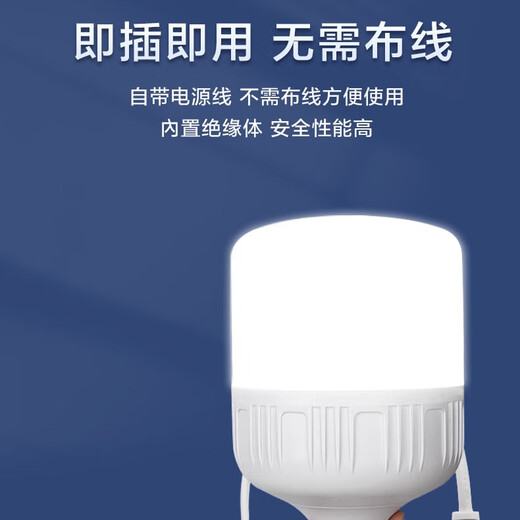 Whale and Light LED energy-saving light bulb with plug household plug-in e27 socket lamp with switch wire super bright hanging small wall lamp 2 meters wire