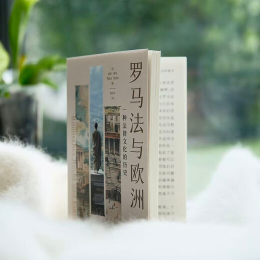 Roman Law and Europe, the history of a legal culture, exploring the cornerstone of the civil law system, the spirit of rule of law and the source of cultural inheritance