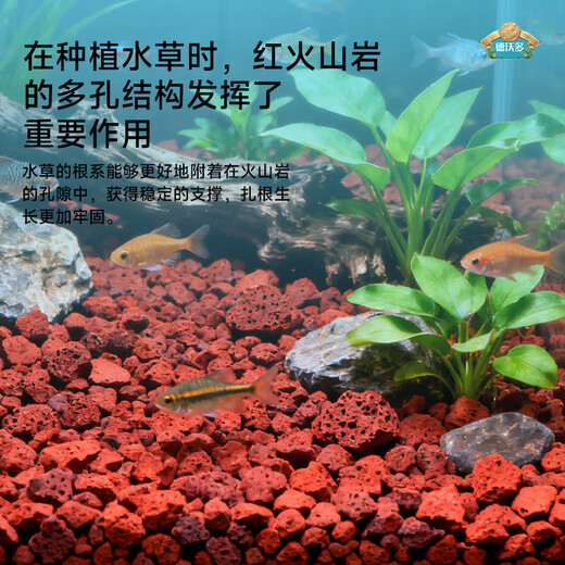 Devodo red volcanic rock 5kg (1-2cm) succulent granular soil paving stone mixed with soil to improve soil gardening soilless cultivation