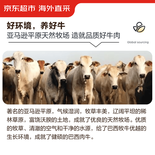 Jingdong Supermarket directly imported raw Brazilian beef brain slices from overseas, net weight 2Jin Jin is equal to 0.5kg (250g*4) hot pot ingredients barbecue