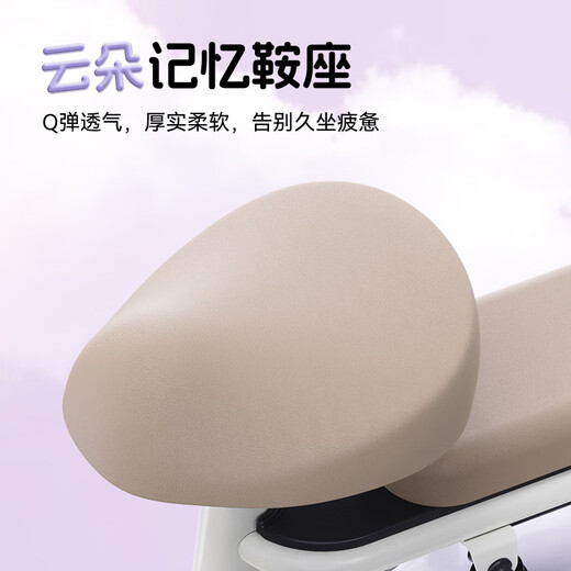 Luyuan Store Pickup Carle 11 New National Standard Electric Bicycle Intelligent Cost-Effective Anti-Flame Retardant Electric Bicycle Adult Commuting Small-sized Electric Bicycle Can Be Licensed Go to the store to choose the color - 48V20A lead-acid