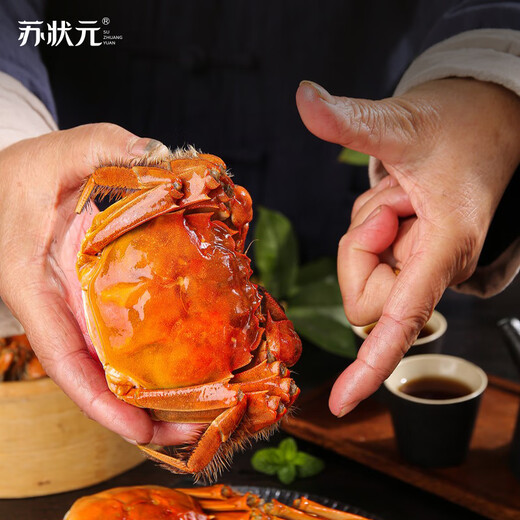Live crab Su Zhuangyuan fresh hairy crabs in stock male 5.0-5.3 female 4.0-4.3 taels 5 pairs of 10 crabs New Year's seafood gift box sent directly from the source