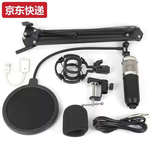 Lan Cai and cross-border BM800 condenser microphone V8 mobile phone English sound card computer usb cantilever bracket live broadcast set full plastic silver set + white USB