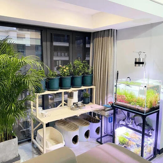 OYKTN实木花架猫砂盆置物架多层猫爬架宠物用品收纳阳台阶梯猫窝架猫咪 长90cm宽50cm高100cm