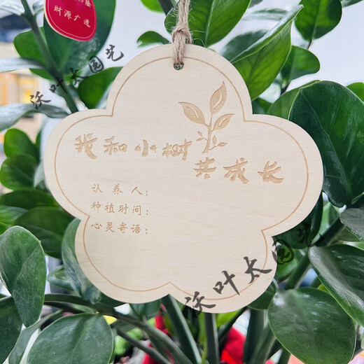 Yong Huan 10 pieces of custom-made wooden hanging tags for school Arbor Day tags tree adoption tags plant tags name cards grow with the trees 10 pieces