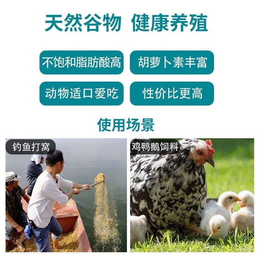 Multigrain grains for chickens, chicken feed, corn crushing, corn stubble, corn slurry, feeding chickens, chicken fishing, nesting, ducks and geese, chicken feed, corn crushing 100Jin Jin is equal to 0.5 kilograms