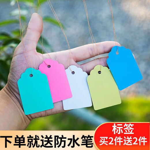 100 pieces of hang tags, plant signs, tree signs, classification color cards, plastic waterproof and sun-resistant flower gardening tags, blue 5*7, 100 pieces