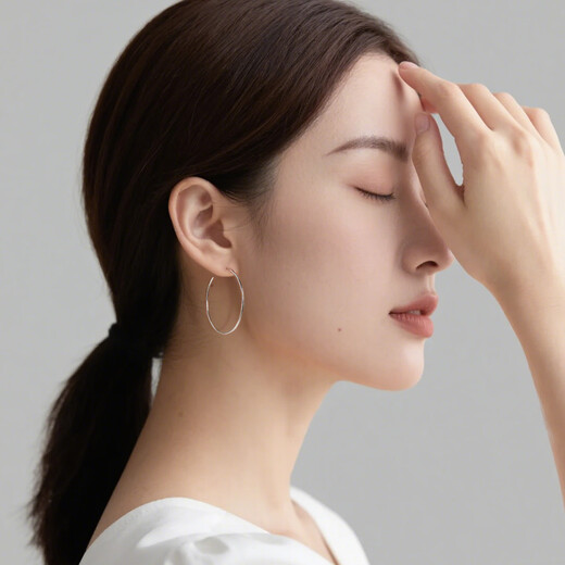 Qlady big earrings for women 925 silver plain earrings hoop earrings for women 2025 new high-end light luxury ear buckle gift