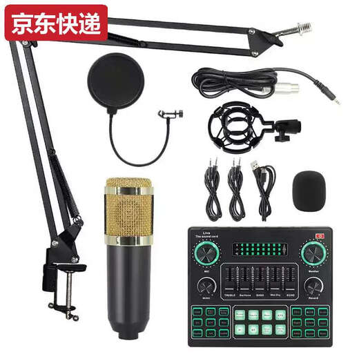Lan Cai and cross-border BM800 condenser microphone V8 mobile phone English sound card computer usb cantilever bracket live broadcast set full plastic silver set + white USB