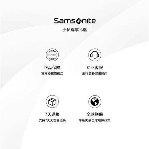 新秀丽（Samsonite）时尚出街女士托特包大开口单肩包织物轻盈手提包NT0浅棕色送女友
