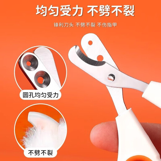 Special nail clipper for cats, anti-scratch pet cleaning nail clipper, dog supplies, universal maintenance supplies, universal model for cats and dogs, curved nail clipper-2CR13 pet supplies
