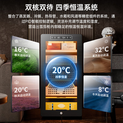CIGARLOONG 39C cigar cabinet, constant temperature and humidity, compressor refrigeration, cedar wood, mellow, fashionable, curved, energy-saving, silent, mini cigar humidor for home office, star gray wake-up cigar box model, light-sensitive mirror glass