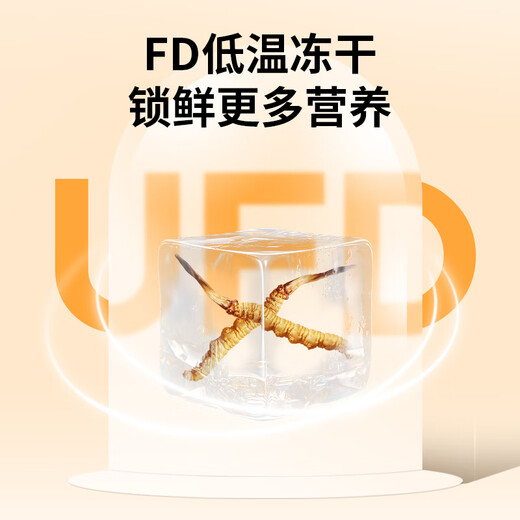 Tongfu Cordyceps Sinensis 2 Roots/G 20g 40 Корни подарочная коробка, питательные пищевые добавки, подарки для старейшин