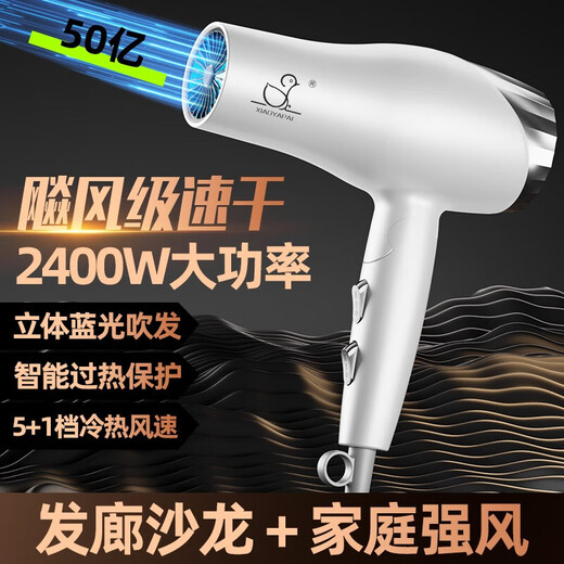 Xiaoya (XIAOYA) 2400W high-power hair salon hair dryer negative ion blue light hair care folding hair dryer powerful high-speed large hair dryer King top version Honor White + 2000W + free air nozzle + foldable 4.5 billion blue light ion hair care typhoon-level wind movement