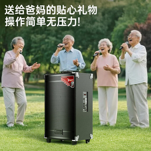 NINTAUS 15-inch square dance speaker, outdoor portable Bluetooth speaker, large volume and high power trolley speaker, karaoke professional equipment, removable with dual microphones N12-22