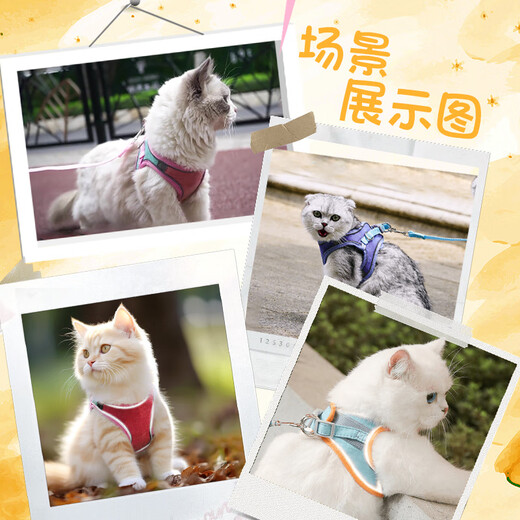 JCZS German brand 2025 new cat traction rope, cat leash, cat vest type reflective chest and back to prevent cats from breaking away, blue, no sense of wear, no neck strangulation, M 4-8Jin Jin is equal to within 0.5 kg