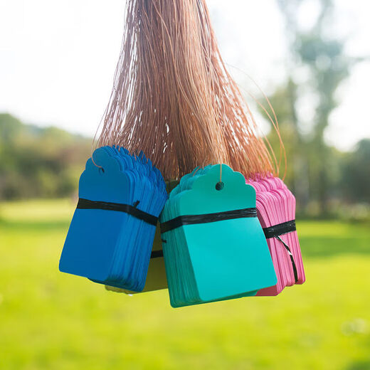 100 pieces of hang tags, plant signs, tree signs, classification color cards, plastic waterproof and sun-resistant flower gardening tags, blue 5*7, 100 pieces