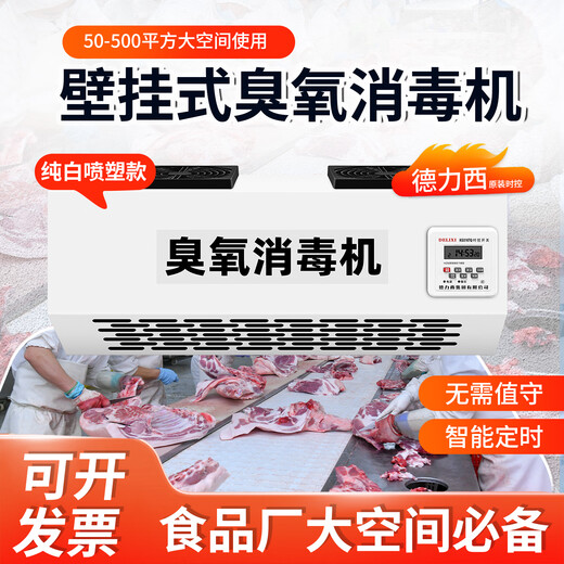 Fenrui wall-mounted Delixi time-controlled ozone sterilizer food factory garbage room cold storage ozone generator sterilization and deodorization upgraded spray model - ozone sterilizer 50g/H Delixi intelligent start and stop