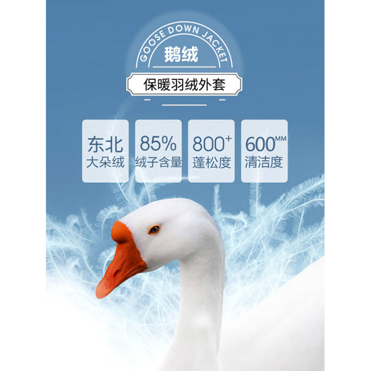 Flying in the Snow Men's Clothing 2025 Winter New Lapel Thickened Goose Down Jacket Short Dad Winter Jacket Navy Blue M 170/88A