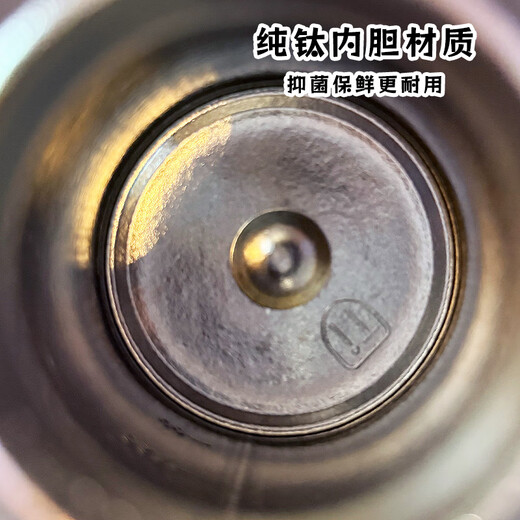 GULOO Pure Titanium Children's Straw Thermos Cup Baby Learning Drinking Cup with Handle Bottle Kindergarten 1-3 Years Old Special Water Cup Silver Astronaut Long-lasting Antibacterial Preservation 300ml