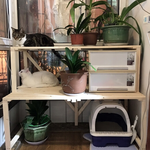 OYKTN实木花架猫砂盆置物架多层猫爬架宠物用品收纳阳台阶梯猫窝架猫咪 长90cm宽50cm高100cm
