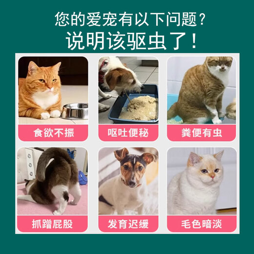 Yusheng Biological Liwuying internal and external deworming general feed ingredient additive for cats and dogs pure plant torreya 1 bottle Liwuying 100 tablets