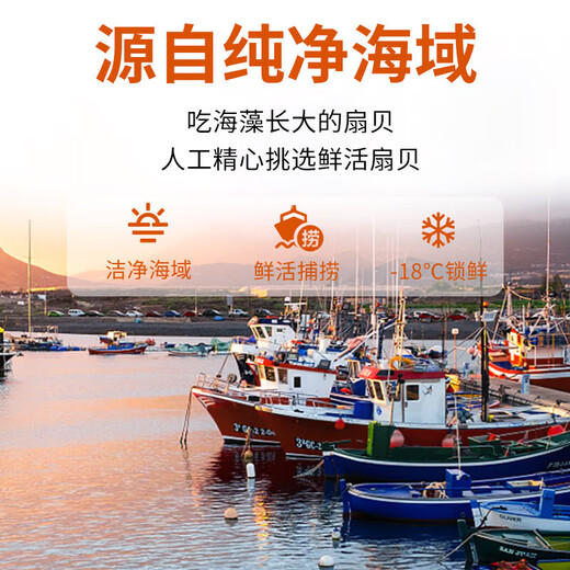 Linglue Frozen Extra Large Yellow Scallop Meat Net Weight 4Jin Jin is equal to 0.5kg, about 80-160 pieces, clean and sand-free, barbecue seafood