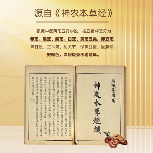 芸经堂香港芸经堂七色灵芝非五色破壁孢子粉胶囊清除自由基提升肌肤活力 日常保健