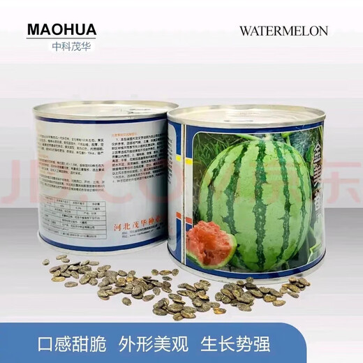 Super sweet 18 degree rock sugar Kirin watermelon seeds super 8424 sweet, crisp, juicy and crack-resistant thin-skinned round watermelon seeds 50g can 18 degree rock sugar Kirin