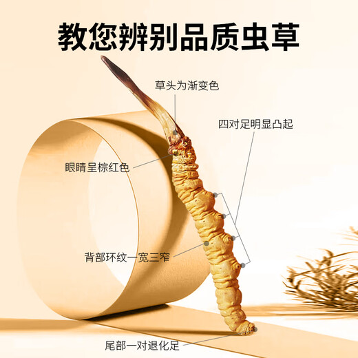 Tongfu Cordyceps Sinensis 2 Roots/G 20g 40 Корни подарочная коробка, питательные пищевые добавки, подарки для старейшин