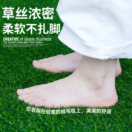 Elegant simulated lawn carpet, artificial green balcony decoration mat, artificial outdoor kindergarten plastic fake turf floor mat, 2cm rubber white bottom, non-removing type (0.8m wide)