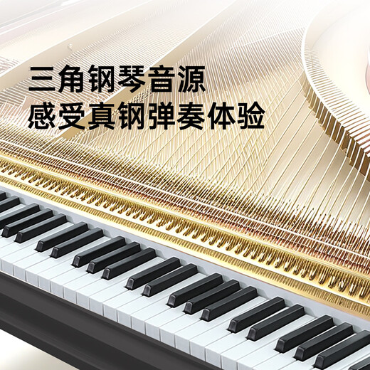 Beethostar Intelligent Portable Electric Piano 88-key Electronic Piano for Adults, Kindergarteners, Beginners, and Children for Professional Examination and Performance 88-Key Standard Edition Official Standard Configuration + Gift Bag + Piano Bag + X Piano Stand