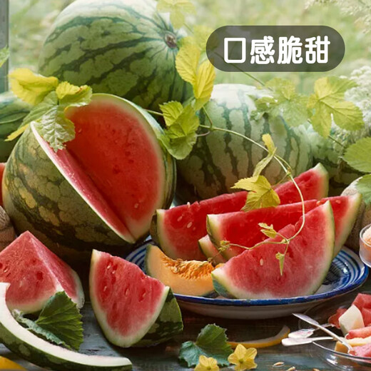Fengming Yashi early-maturing greenhouse seeds for all seasons thin-skinned gift watermelon seeds pink-flesh red unicorn watermelon seeds 50 capsules