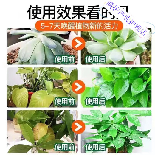 Zhixin nutrient solution plant universal household potted green plant dead leaves yellow leaves rotten roots dilution-free green flower fertilizer 3 bottles buy 2 get 1 free
