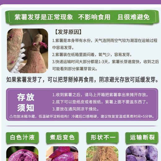 Jingmi Hubei Shadi Purple Sweet Potato, net weight 3 Jin Jin equals 0.5 kg (gift 1.5 Jin Jin equals 0.5 kg, actual reward 4.5 Jin Jin equals 0.5 kg) Single fruit 100g+ Straight from the source