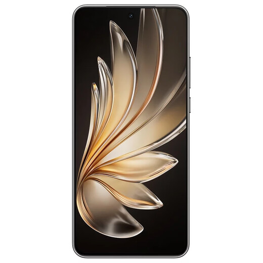 vivo X200s 16GB+512GB 天玑9400+ 店内选购】超薄5G手机S20全网通高通骁龙6500mAh长续航90W闪充 【松烟墨】12GB+512GB 官方标配【不分期】
