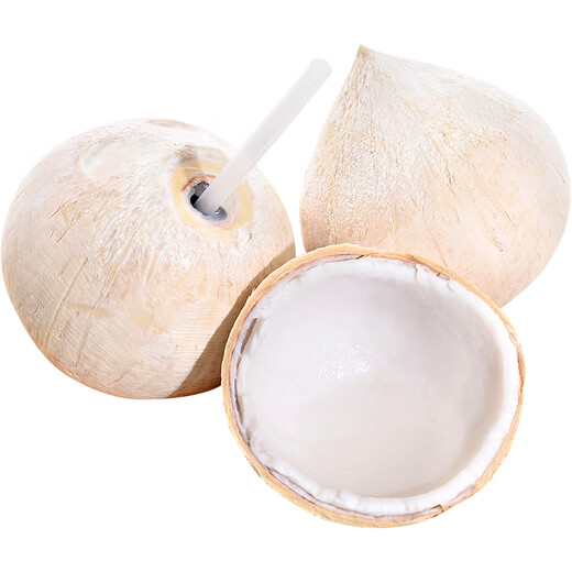 Jingdida Thailand imported milky coconut king net weight 3.7Jin Jin is equal to 0.5kg 4 single fruits 470-530g fresh coconut source straight hair