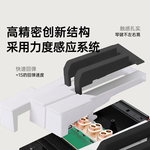 Beethostar Intelligent Portable Electric Piano 88-key Electronic Piano for Adults, Kindergarteners, Beginners, and Children for Professional Examination and Performance 88-Key Standard Edition Official Standard Configuration + Gift Bag + Piano Bag + X Piano Stand