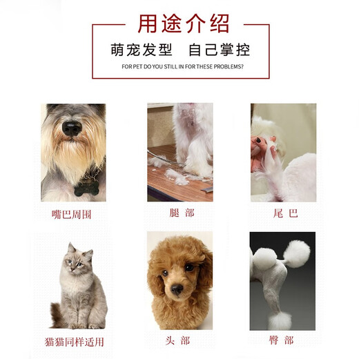 Tanizaki pet grooming scissors, dog hair tool set, 7-inch split scissors, professional trimming shears, curved scissors, Teddy cat and dog universal haircut tool, pet scissors #gold 7-inch straight shear