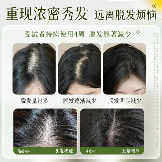 Zhuolanya Ginger Anti-hair Loss Firming Shampoo 800ml*2 (Shampoo Cream Shampoo Unisex)