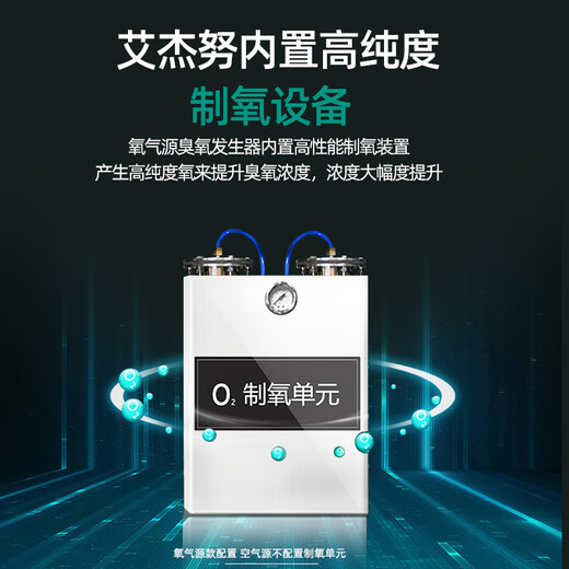 Aijenu 100g oxygen source water treatment ozone generator workshop clean water plant food workshop deodorization sterilization machine 100g air source water-cooled type