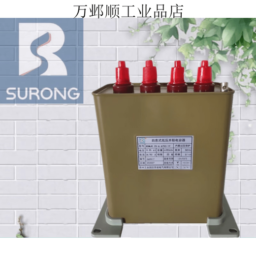 Suzhou Surong BSMJ0.25/0.28/0.3-10/15/20/25/30/40-1Y 0.250.2820*31Y