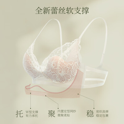 Sujiliangpin Qianqian Same Style Little Rose Lightweight Wireless Underwear Women's Lace Sexy Small Breast Push-Up Petal Cup Bra