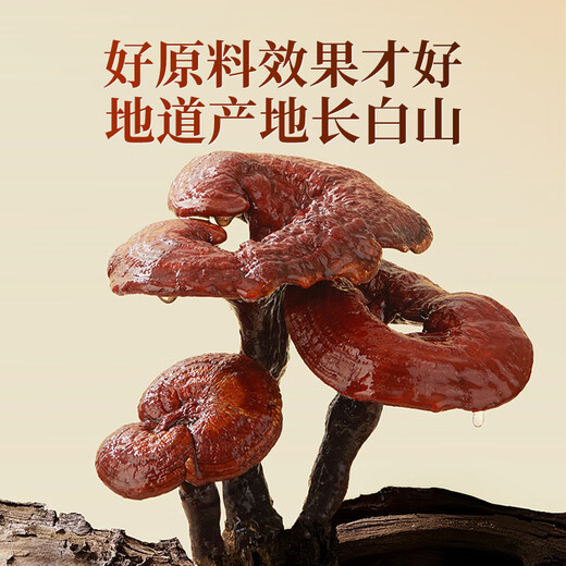 Aodong Broken Ganoderma Spore Powder Capsules, 3 Flaschen, immunitätssteigerndes Nahrungsergänzungsmittel für Menschen mittleren Alters und ältere Menschen