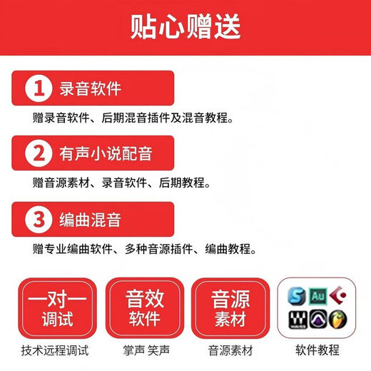 Burren Bell BL520X-USB condenser microphone audiobook special recording equipment professional novel Himalayan mobile phone microphone recitation dubbing broadcast set anchor recording studio level official standard