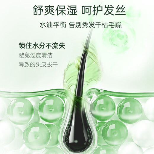 Shiseido Professional Hair Salon Care Channel lang wirksames Ölkontrolle und erfrischendes Haar. Duftende Atmosphäre Kopfhaut Serie Ölkontrollwaschanzug 800 ml
