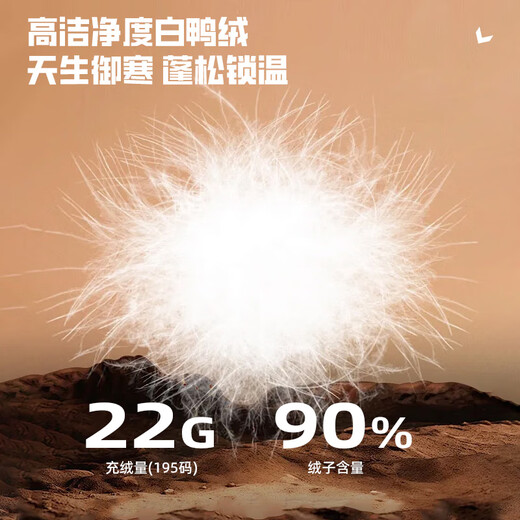 Yaya (YAYA) down pants men's straight thick style warm outer wear new winter style for young and middle-aged people plus down casual trousers K05 black