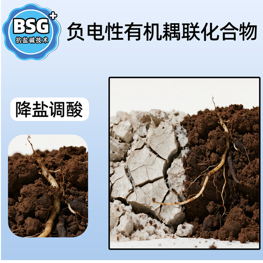 Fragrant and elegant, full of roots, salt-reducing rooting agent, acid adjustment, flower and green plant potted agricultural use, 2 bottles, affordable package, can be mixed with 1000 Jin Jin equal to 0.5 kg of water